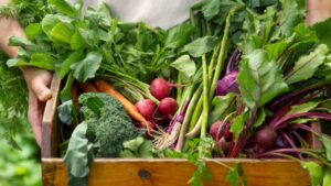 Person holding wooden crate with leafy greens, turnips, and carrots