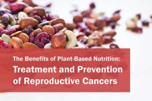 Dried cranberries, nus, and seeds