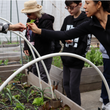A woman standing above a garden bed, offering a fresh-picked herb to a community member.